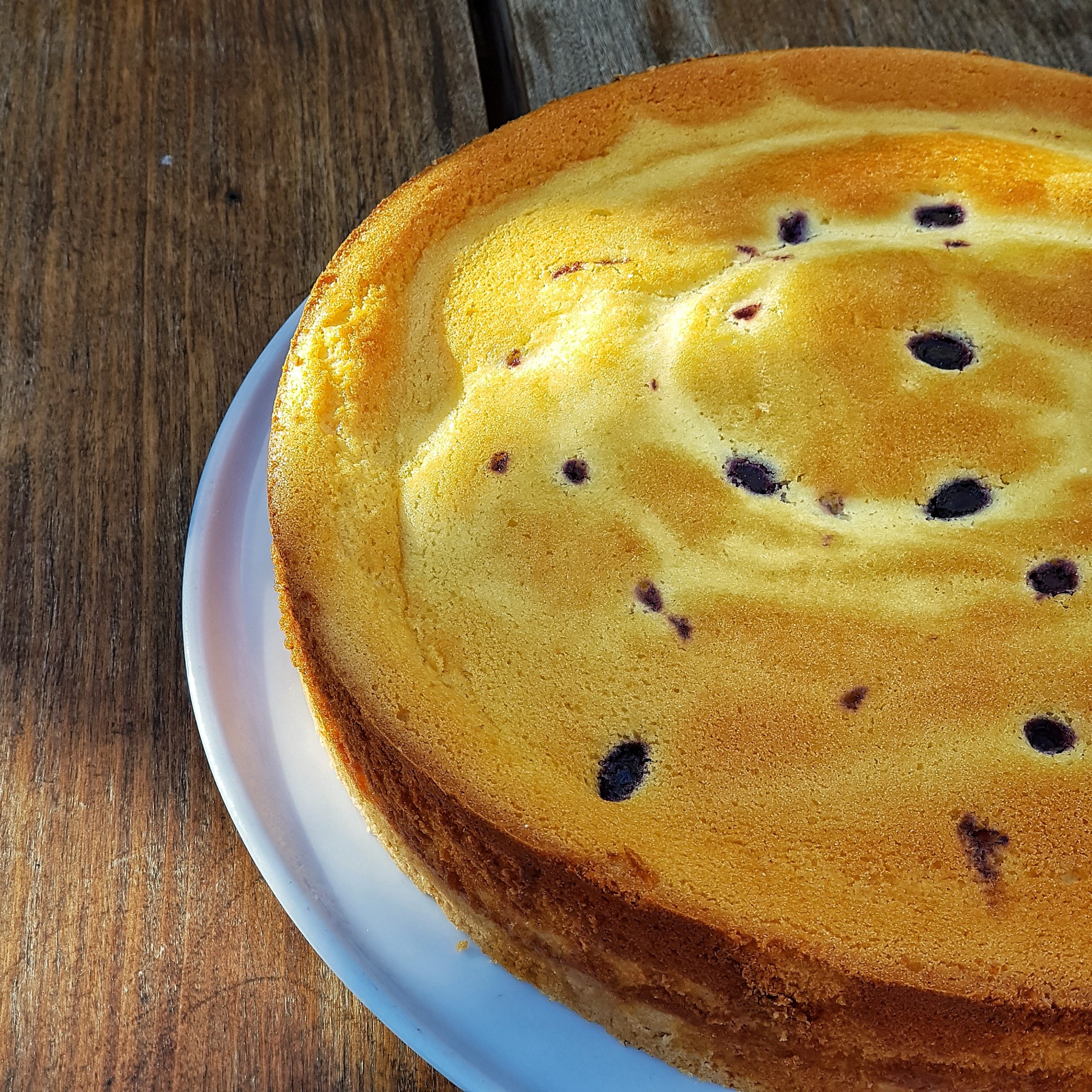 Kuchen de Ricota Arandano sin azucar